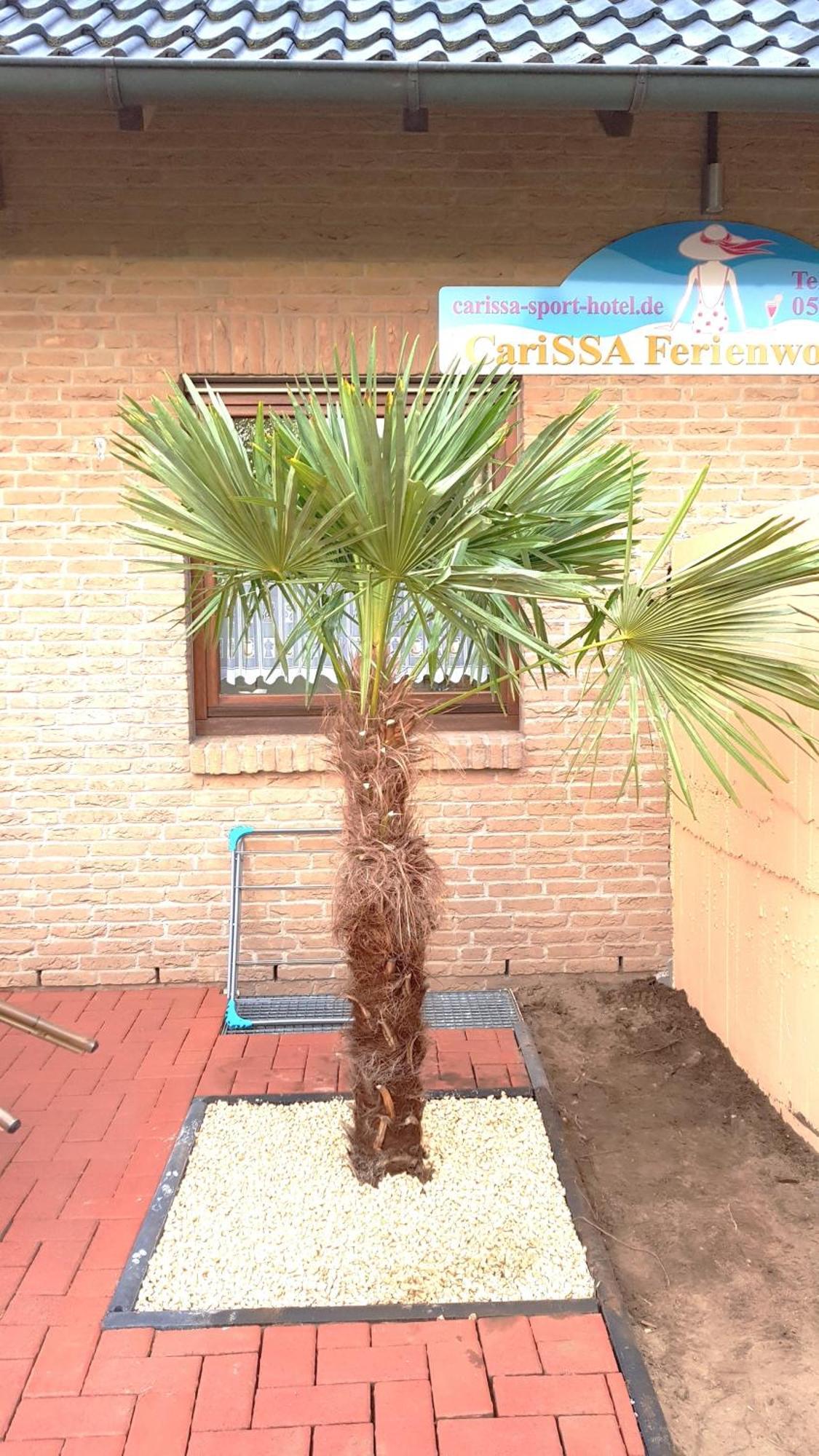 Carissa Ferienwohnung - Mit Thermeplus Bad Bevensen Luaran gambar